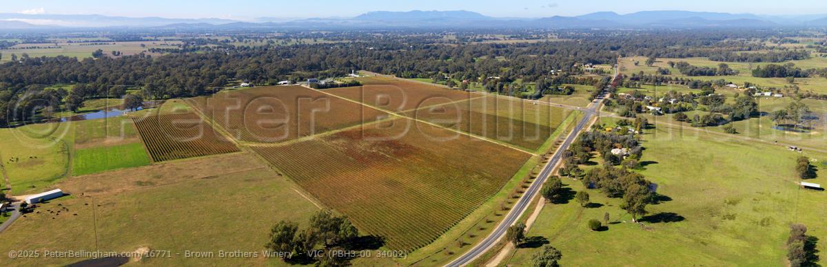 Peter Bellingham Photography Brown Brothers Winery - VIC (PBH3 00 34002)